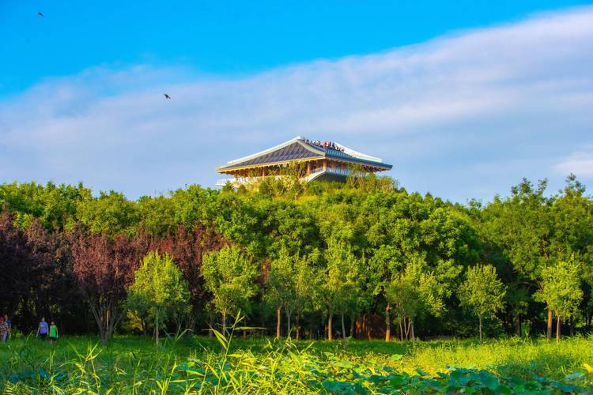 南京园林经济